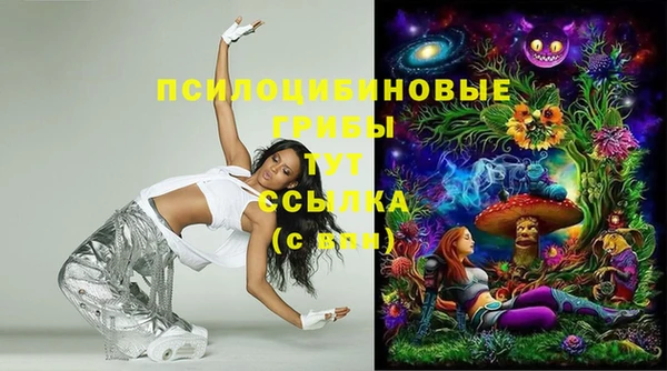 гидропоника Алексеевка