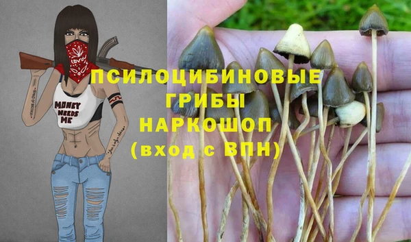 гидропоника Алексеевка
