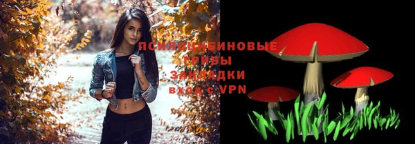 дмт Алзамай